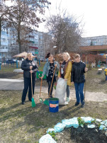 В нашем детском саду прошел субботник. В нашем детском саду прошел субботник.