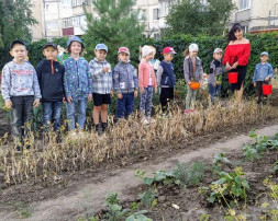 Трудовая деятельность в старшей группе Трудовая деятельность в старшей группе.