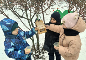 15 января - День зимующих птиц. 15 января - День зимующих птиц.